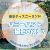 プーさんのハニーハントは撮影解禁っぽい！注意点とコツを解説